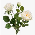 Rama de rosa artificial CALISTA, crema, 60cm