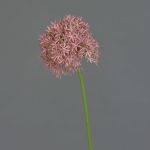 Allium artificial ARNAU, fucsia, 60cm