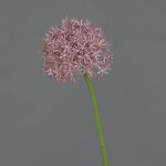 Allium artificial ARNAU, violeta, 60cm