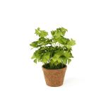 Planta artificial de trébol NICCOLO en maceta decorativa, verde, 25cm