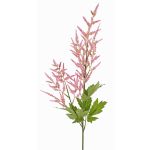 Astilbe falso AURIE, rosa, 95cm, Ø12-14cm