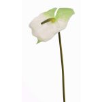 Anthurium artificial MOIRA, blanco-verde, 75cm, 13x18cm