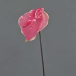Anthurium artificial MOIRA, rosa-rosa, 75cm, 13x20cm
