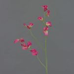 Flor artificial Lathyrus ASFALOTH, rosa, 65cm
