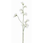 Flor artificial Lathyrus ASFALOTH, blanca, blanco, 65cm, Ø3-5cm