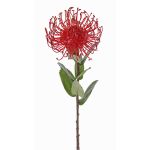 Protea artificial BAILY, rojo, 55cm, Ø10cm