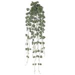 Ceropegia artificial KIRARA, en vara de fijación, zonas resguardadas, verde, 70cm