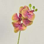 Rama artificial de Orquídea Phalaenopsis OPHELIA, fucsia-verde, 40cm, Ø7-8cm