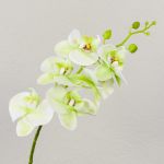 Rama artificial de Orquídea Phalaenopsis OPHELIA, crema-verde, 80cm, Ø8-9cm