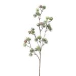 Rama decorativa de cedro SNALTI con piñas, congelada, blanco-verde, 65 cm
