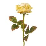 Flor artificial rosa DRINT, verde-crema, 60cm, Ø10,5cm