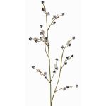 Stirlingia latifolia artificial COLLAN, blanco-negro, 85cm