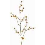 Stirlingia latifolia artificial COLLAN, naranja-verde, 75cm, Ø1cm
