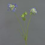 Scabiosa artificial ANDIA, azul-lila, 80cm, Ø8-10cm