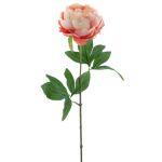 Peonía artificial TALFY, rosa crema, 65 cm
