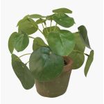 Planta china del dinero artificial SYBIL en maceta de terracota, verde, 13cm