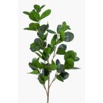 Rama falsa de ficus panda BANDE, verde, 90cm