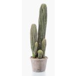 Cactus San Pedro artificial DACON en maceta decorativa, verde, 55 cm
