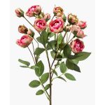 Rama de rosas falsas TOSSA, rosa-verde, 55 cm