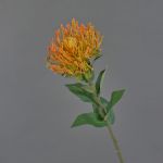 Protea decorativa HERVAS, naranja, 70cm