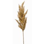 Rama falsa de hierba de la pampa con panícula BATERNO, marrón claro, 90cm