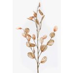 Rama de lunaria artificial BUELNA, marrón claro, 105cm