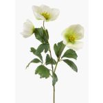 Rosa de Navidad artificial MERUEL, blanco-verde, 45cm