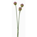 Atado de flores de allium artificial LAMDA, verde-violeta, 65cm