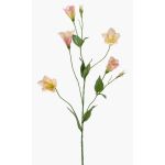 Lisianthus de imitación PAZAN, rosa-crema, 70cm