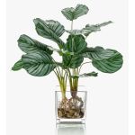 Calathea Orbifolia artificial AGINA en maceta de cristal, verde-blanco, 45cm