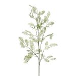 Rama decorativa de pimienta DROKLI, verde, 90 cm