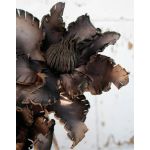 Clematis artificial CLEMENTINA, marrón, 85cm, Ø30cm