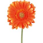 Flor artificial Gerbera TUNZA, naranja, 50cm