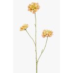 Rama decorativa Scabiosa DIHALLY, amarillo melocotón, 80 cm