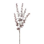 Rama decorativa de eucalipto TRELVO, rojo burdeos, 75cm