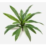 Planta artificial helecho JANE, varilla, verde, 40 cm