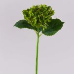 Hortensia artificial MYNMAR, verde, 35cm, Ø14cm