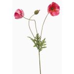 Rama decorativa de amapola SCHUNRA, rosa, 75cm