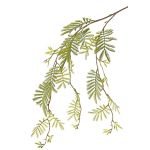 Rama de mimosa artificial ELPIDA, verde, 110cm