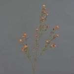 Flor de cera artificial NIANG, naranja-rojo, 80cm, Ø1,5-2,5cm