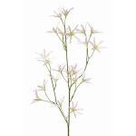 Tweedia solanoides artificial PALLAS, blanco, 75cm, Ø5cm