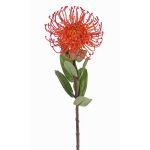 Protea artificial BAILY, naranja, 50cm, Ø12cm