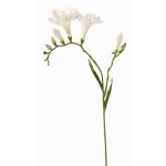 Freesia artificial MARUSHA, blanca, 70cm, Ø6cm