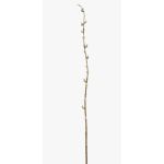 Rama de sauce artificial DAFINO con flores, blanco, 105cm