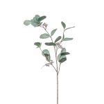 Rama de eucalipto artificial MAXEN con frutos, verde-gris, 75cm
