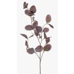 Rama de eucalipto artificial MAXEN con frutos, violeta-gris, 75cm