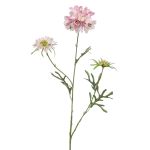 Scabiosa artificial MARUA, rosa, 80cm