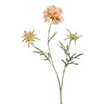 Scabiosa artificial MARUA, melocotón, 80cm