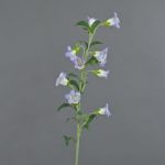 Campanula artificial DAIKI, púrpura-blanco. 90cm