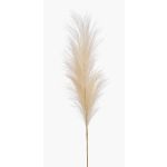 Espiga artificial de hierba de la pampa AMATSIA, crema, 115cm